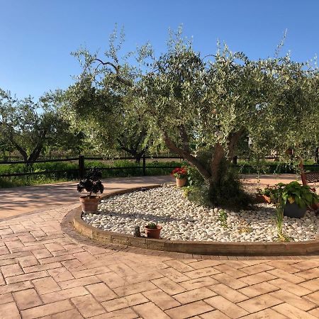 B&B Villa Eden Ортона Экстерьер фото